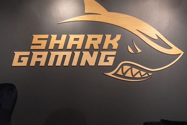 Shark gaming logo i træ til butik i Magasin