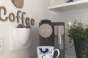 Billede af en skov med et lille vandløb.