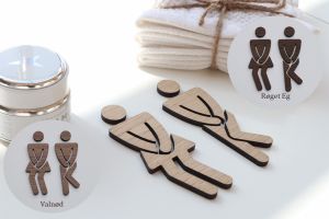 Billede af en skov med et lille vandløb.